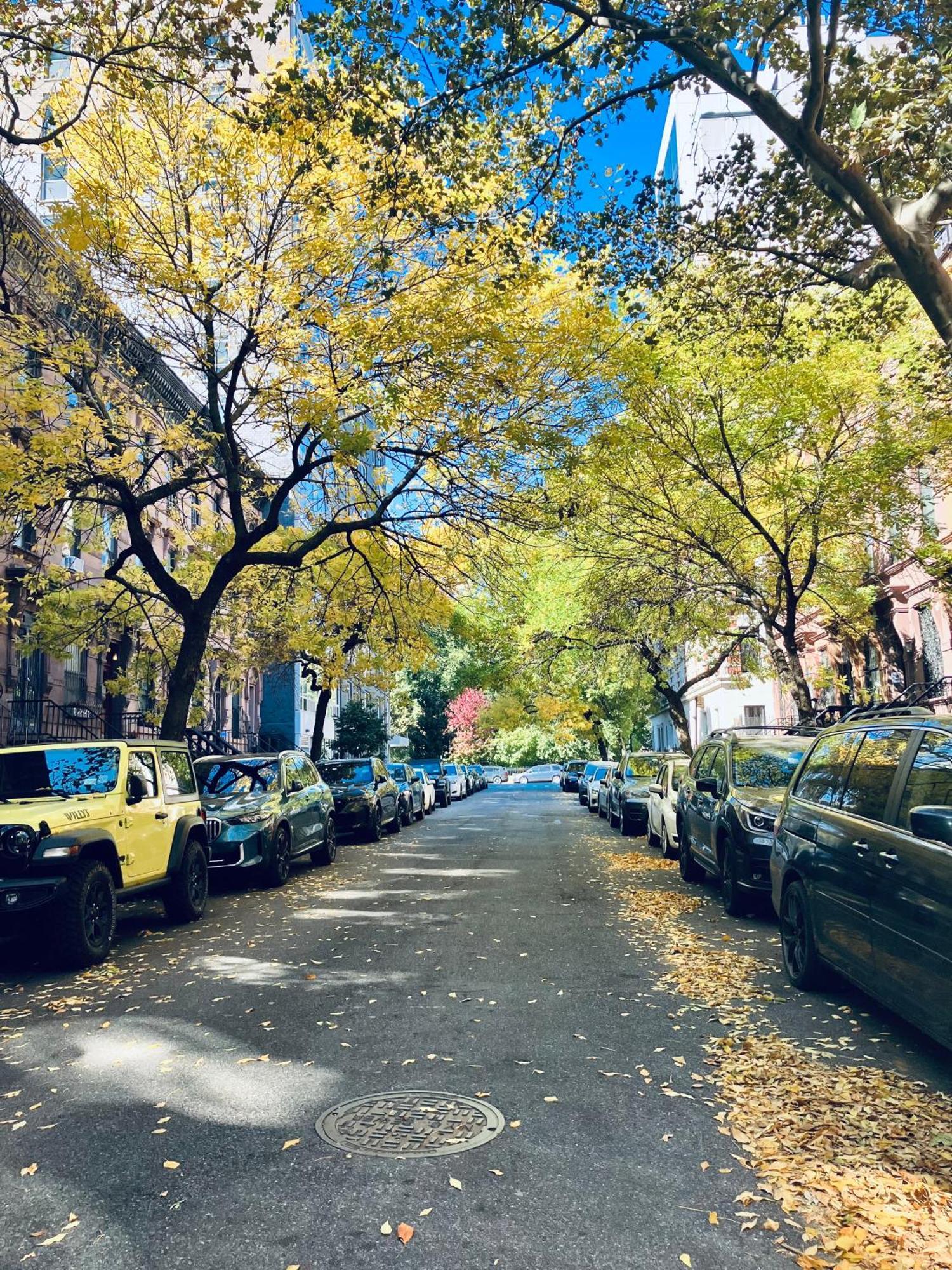 Harlem Grand Bed and Breakfast New York Exteriör bild