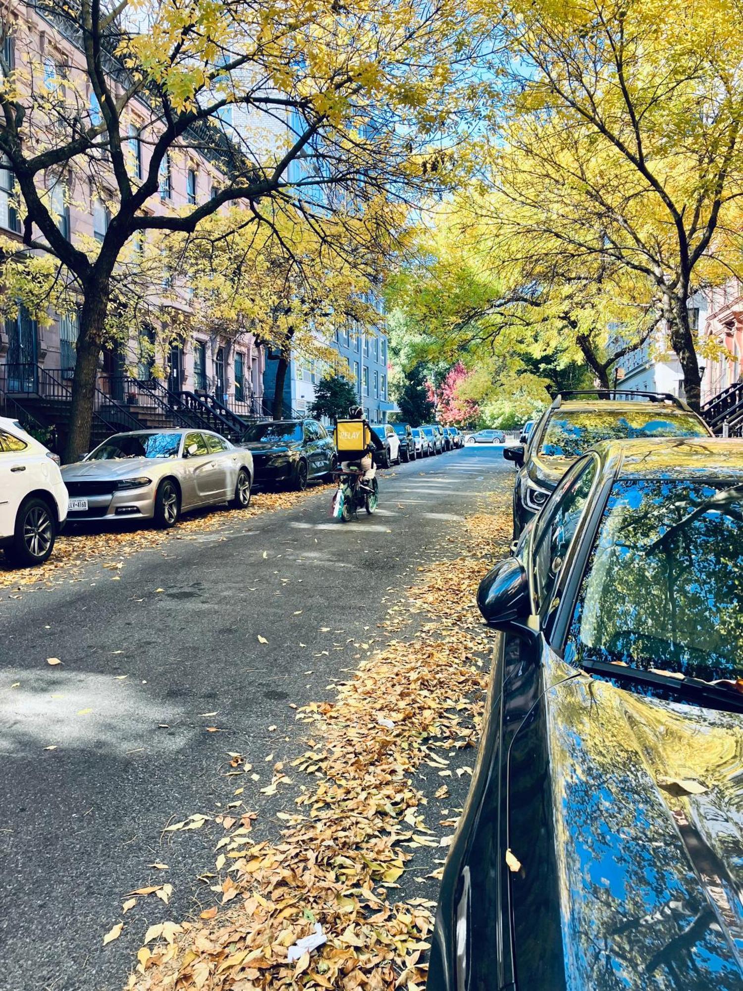 Harlem Grand Bed and Breakfast New York Exteriör bild